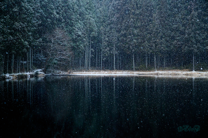 お写ん歩: Sigma 20–200mm F3.5–6.3 DG | Contemporaryアーカイブ